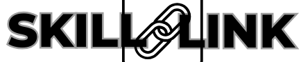 skilllink.co.in